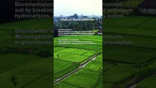 Uses of Bioremediation Importance  Concepts of Botany [upl. by Seaver]