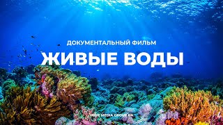 Живые воды Разумный замысел в океанах Земли Документальный фильм  Мифы эволюции [upl. by Ahsek]