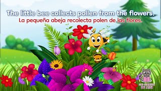 ✔✔✔ THE LITTLE BEE Cuento en inglés para niños con subtítulos  Cuento bilingüe INGLÉS ESPAÑOL [upl. by Mackay602]