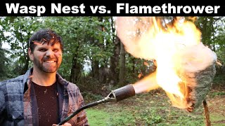 Flamethrower vs Wasp Nest  I was Wrong One More Time Mousetrap Monday [upl. by Kelton]