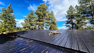 PostFrame Barn Roof [upl. by Airahs]