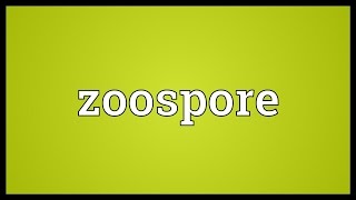 Zoospore Meaning [upl. by Aileve]