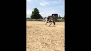 Barrel racing a completely blind horse [upl. by Hilde163]