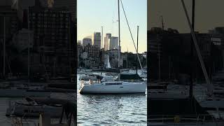 Watching the boats return after their sail around the harbour sydney shorts darlingpoint [upl. by Haymo307]