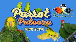 RGVBF Parrot Palooza 2024 [upl. by Shakespeare854]