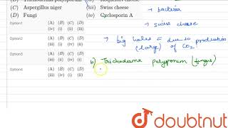 Select the correct option AquotPropionibacteriumquotiquotCitric acidquot [upl. by Liartnod]