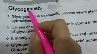 Glycogenesis شرح بالعربي كيمياء الايض 15 [upl. by Hallock306]