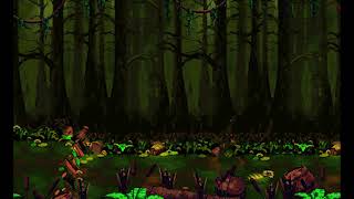 SNES  Donkey Kong Country 2  Bayou Boogie [upl. by Leur]