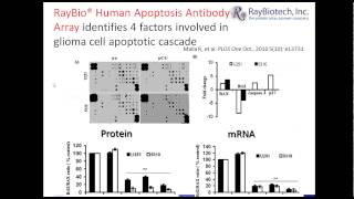 Antibody Arrays Used in Research [upl. by Htrowslle57]