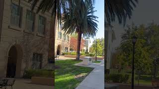 Law School of Stanford University Dorm [upl. by Anamuj]