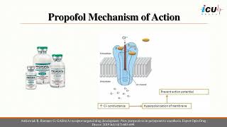 Sedative Agents in the ICU [upl. by Ahsemot]