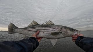 Early Spring Striped Bass Fishing With Bucktails [upl. by Camroc]