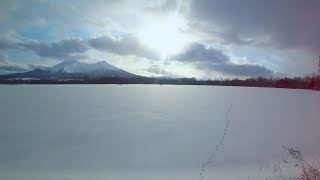 Window View Winter Train Japan JR Hokkaido Railway  from Sapporo to Hakodate [upl. by Dnomasor]