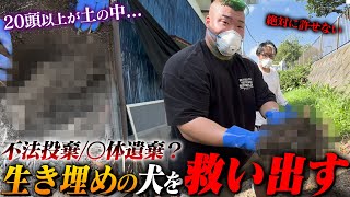 【閲覧注意】Part1犬を埋めた悪徳ブリーダーがヤバすぎた [upl. by Olinad387]