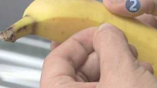 Bananas Most Dangerous Fruit In The World [upl. by Granniah]