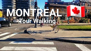 MONTREAL DOWNTOWN WALKING TOUR [upl. by Lauryn414]