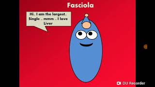 Fasciola Liver Fluke الدودة الكبدية الفاشيولا [upl. by Nalaf605]