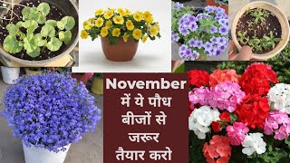 Winter Flowers की बीज से लगाई 30  तरह की पौध  Winter Flowers From Seedling Winter Seeds Online [upl. by Ronnoc834]