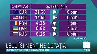 CURS VALUTAR 23 februarie Câţi lei costă un euro şi un dolar [upl. by Julina]