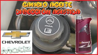 Cambio aceite dirección asistida  Chevrolet Matiz  Spark  Tutorial [upl. by Annayd]