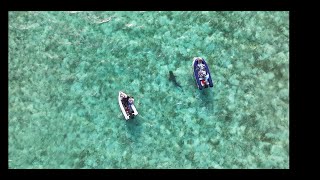 Tiger Shark Foot Cay Jobess Cay Mothers Day Coco Bay at Green Turtle Cay [upl. by Assen]