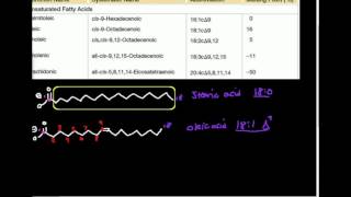 Structure amp Types of Fatty acids [upl. by Waldman972]