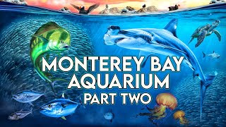 Zoo Tours Monterey Bay Aquarium  PART TWO [upl. by Rego]