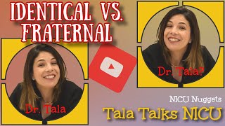 Monodi Identical Fraternal Didi What do these terms mean  NICU Nuggets  Tala Talks NICU [upl. by Martelle]