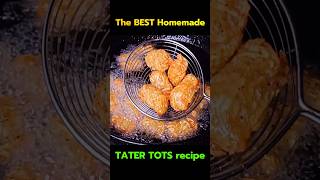 The BEST Homemade TATER TOTS recipe shorts cooking food snacks [upl. by Telfer742]