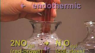 NO2 N2O4 Gas Equilibrium LeChateliers Principle Lab Part 4 [upl. by Noemis]