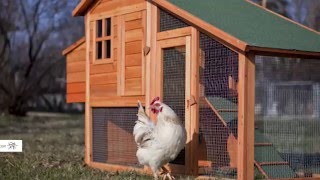 Top 7 Chicken Coops [upl. by Swinton259]