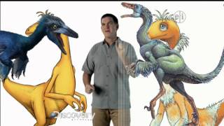 Dinosaur Discoveries Troodon 3 [upl. by Addiel]