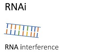 RNAi  RNA interference [upl. by Laspisa863]