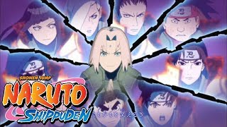 Naruto Shippuden Openings 120 HD [upl. by Arad]