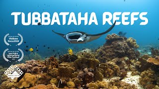 TUBBATAHA REEFS  Heart of the Philippine Seas Documentary [upl. by Samuel]