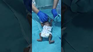 Newborn swaddling viral short videoNewborn [upl. by Simeon]