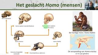 Bio  Evolutie van de mens  Evolutie 5 [upl. by Akirahc]