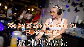 Xia Bei Zi Zao Dian Xiang Yu 下輩子早點相遇 Electro Manyao By Dj Brian Bie dj抖音版2024 remixmanyao [upl. by Culley]