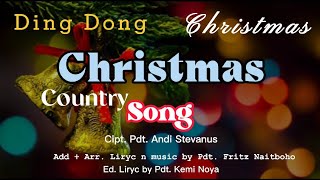 Ding Dong Christmas Song Christmas song [upl. by Aerehs]