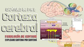 CAP 58 15 Corteza cerebral y áreas de asociación [upl. by Waneta596]