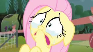 MLP Fluttershy Crying [upl. by Juline]