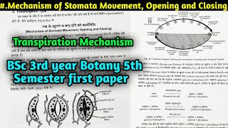 Mechanism of Stomatal Movement  Opening and closing Stomata  BSc 3rd year Botany 5th Semester [upl. by Phemia]