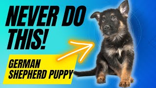 6 Things You Must Never Do With Your German Shepherd Puppy [upl. by Chubb464]