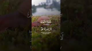 quran shorts قرآن [upl. by Robyn]