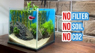 🎋 Building a Lucky Bamboo Aquarium  Betta Fish Tank Setup 🐠☘️ [upl. by Xuagram]