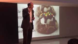 The Discipline of Finishing Conor Neill at TEDxUniversidaddeNavarra [upl. by Eremihc]