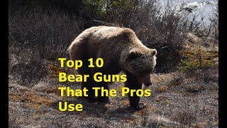 Top 10 Bear Guns What the Professionals Use [upl. by Ajram]