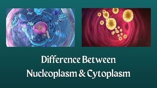 Difference Between Nucleoplasm and Cytoplasm  Unraveling the Mystery Behind Nucleoplasm amp Cytoplasm [upl. by Keener]