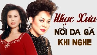 NỔI DA GÀ Khi Nghe 2 Tiếng Hát Ngàn Năm Có Một Này  Mưa Rừng Anh Về Kẻo Mưa [upl. by August348]