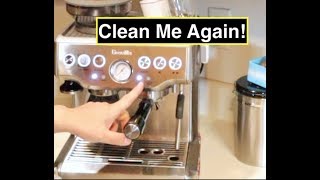 Clean Me Again   Breville Barista Express [upl. by Aicilet]